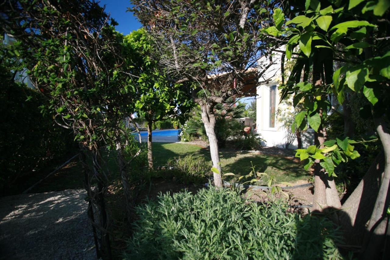 Beach Villa Sofia Нео-Хорио Экстерьер фото